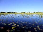 BOTSWANA Roberto e Lidia - 068